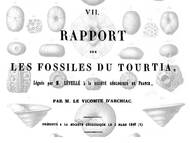 d'Archiac, 1847: Über die Fossilien aus dem Tourtia (~Cenoman)