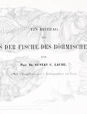 Gustav Laube: Fische des böhmischen Turons