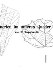 Hermann Engelhardt: Crednerien