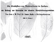 C. von Ettingshausen über die Kreidefloren der Niederschönaer Schichten