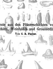 C.E. Fischer über fossile Fische