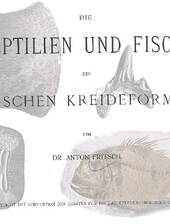 Monograpie von A. Fritsch über die kretazischen Reptilien- und Fischfunde