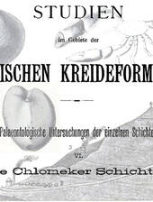 A. Fritsch, 1897: Über die sogenannten ehemaligen Chlomeker Schichten und deren Fossilien (Turon-Coniac) der böhmischen kreide