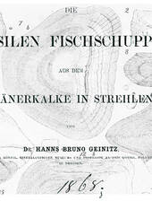 Geinitz, 1868: Fischschuppen aus dem Turon von Dresden-Strehlen