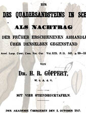 H. R. Göppert über tatsächliche und vermeintliche Pflanzenfossilien aus der Kreide