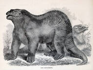 historische Rekonstruktion von Iguanodon sp.  - S.G. Goodrich, 1858