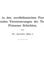 Jahn, 1891: Sande in der böhmischen Kreideformation