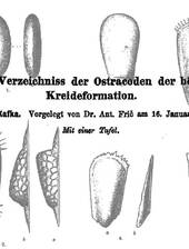 J. Kafka: Verzeichnis der bekannten Ostracoden-Arten Ende des 19. Jahrhunderts