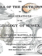 G. Mantell 1822: Fossils of the South Downs