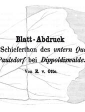 Ernst von Otto: Blattabdruck von Paulsdorf