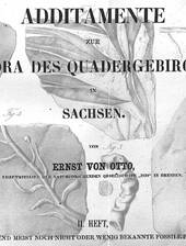 E. von Ottos zweiter Beitrag zur sächsischen Kreideflora