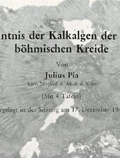 J. Pia über Lithothamnien (Kalkalgen) in der sächsisch-tschechischen Kreide
