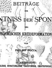 Pocta, 1885: Dritter Teil der Monographie über die böhmischen Kreideschwämme