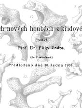 F. Pocta über Schwämme aus der Gegend von Kutná Hora (Kuttenberg)