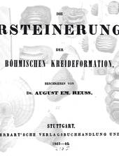 A.E. Reuss umfassende Arbeit über die tschechischen Kreidefossilien