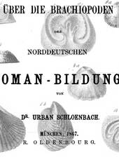 U. Schlönbach: Über Brachiopoden aus dem Cenoman