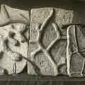 Spurenkomplexe: <i>Spongites saxonicus</i>