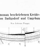 J. Tuppy über die Kreide von Krasíkov (Budigsdorf) in Ostböhmen