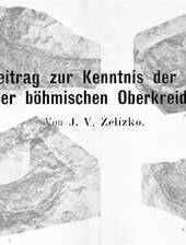 J.V. Zelizko über die Gattung Gervillia aus der böhmischen Kreide