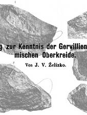 J.V. Želízko über die Gattung Gervillia aus der böhmischen Kreide - Nachtrag