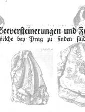 F. Zeno: Fossilien von bei Prag